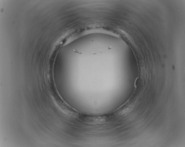 X0000075840443200610061851