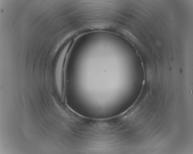 X0000075840444200610061851