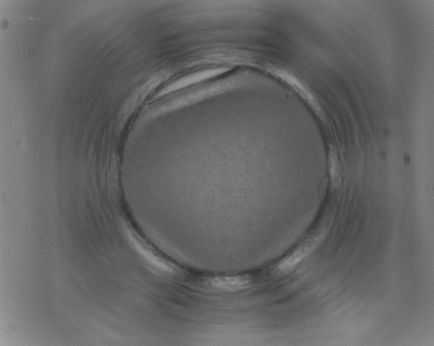 X0000075840445200610061851