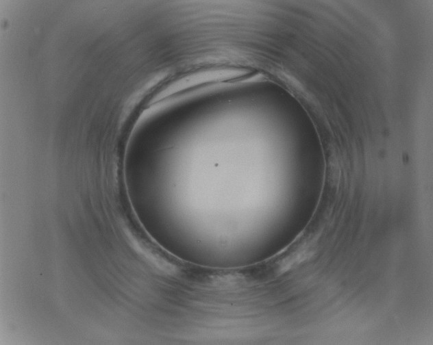 X0000075840446200610061851