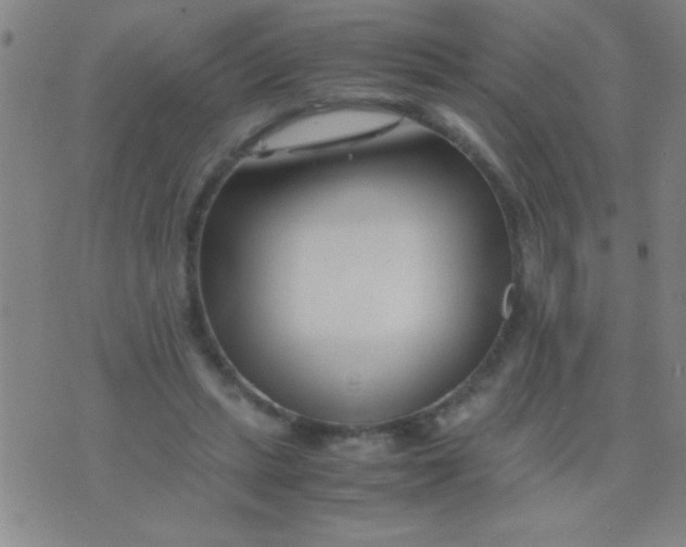 X0000075840447200610061851