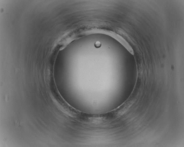 X0000075840448200610061851