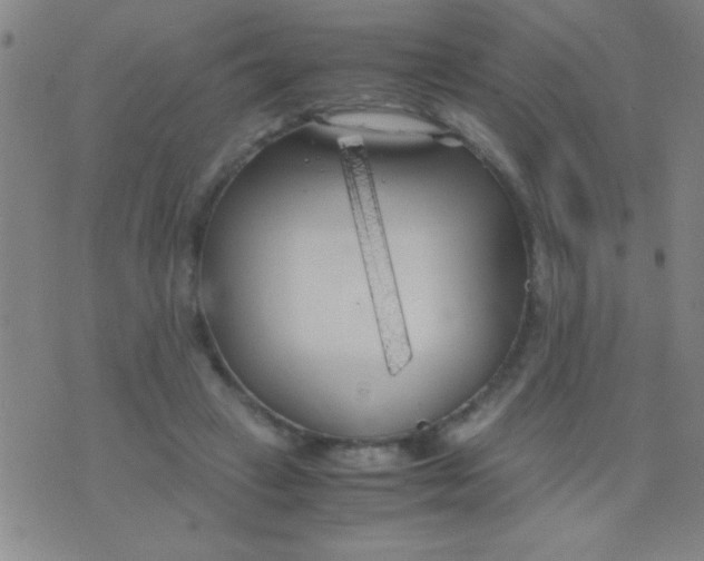 X0000075840449200610061851