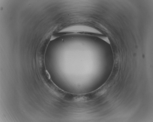 X0000075840452200610061851