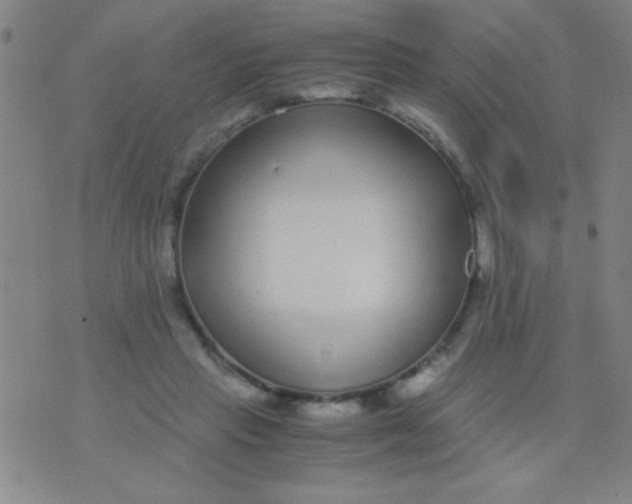 X0000075840453200610061851