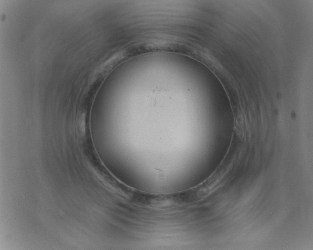 X0000075840454200610061851