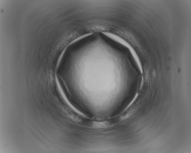 X0000075840457200610061851