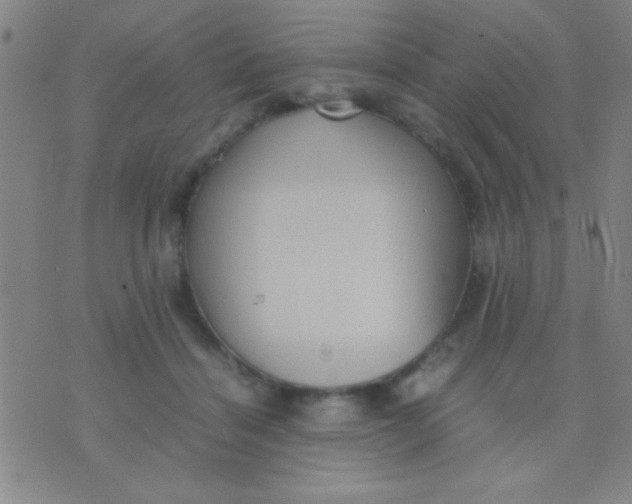 X0000075840460200610061851