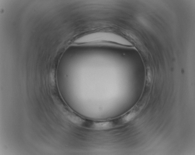 X0000075840461200610061851