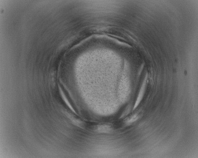 X0000075840462200610061851