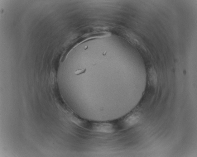 X0000075840463200610061851