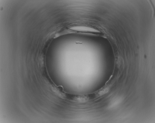 X0000075840466200610061851