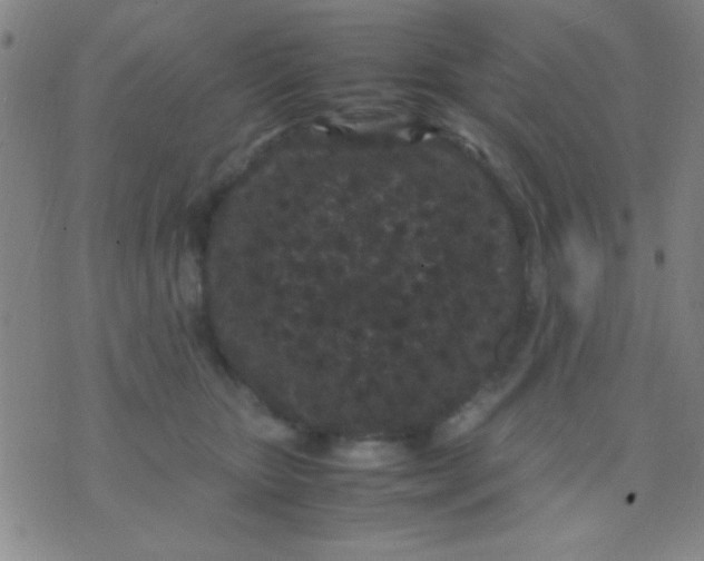 X0000075840467200610061851