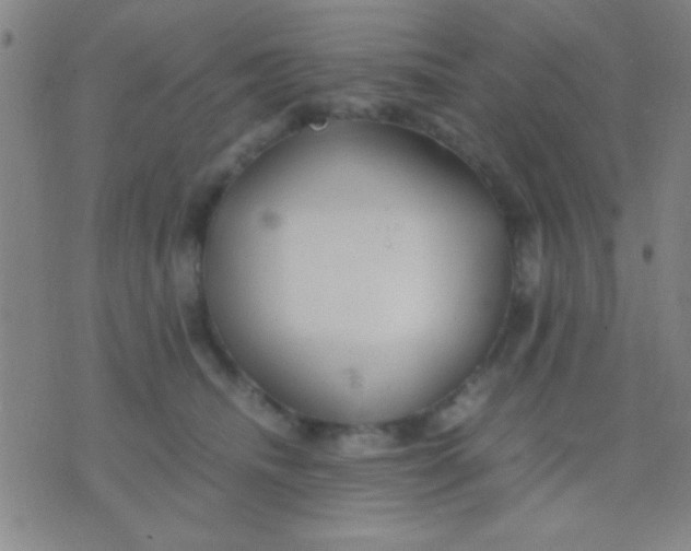 X0000075840468200610061851