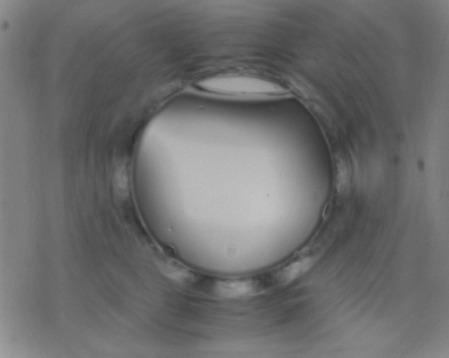 X0000075840469200610061851