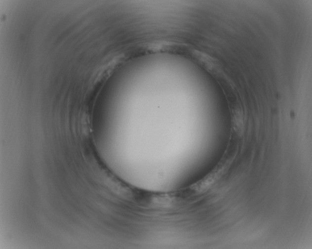 X0000075840470200610061851