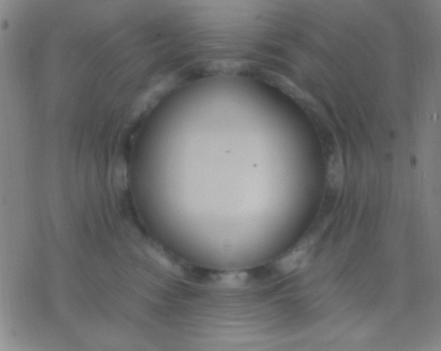 X0000075840474200610061851