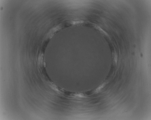 X0000075840475200610061851