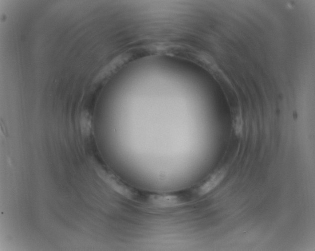 X0000075840476200610061851