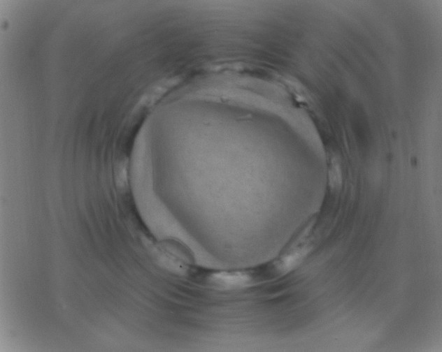 X0000075840477200610061852