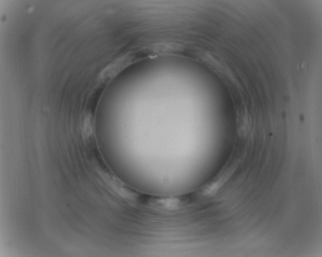 X0000075840478200610061852