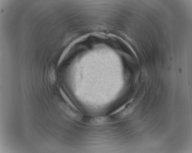 X0000075840479200610061852