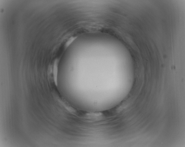 X0000075840480200610061852