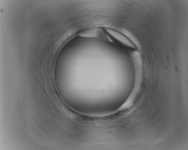 X0000075840481200610061851