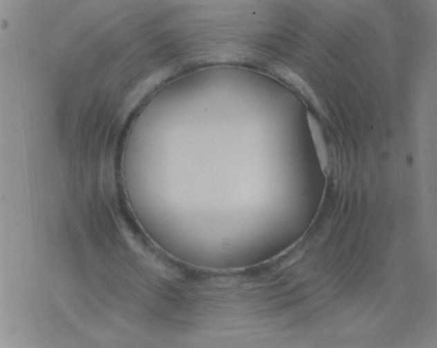 X0000075840482200610061851