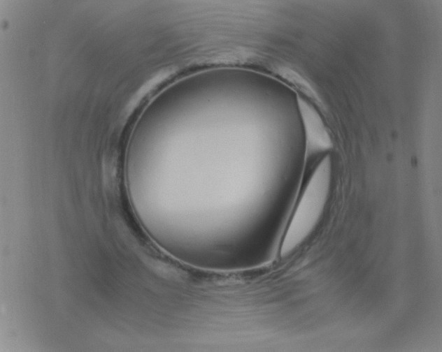 X0000075840483200610061851