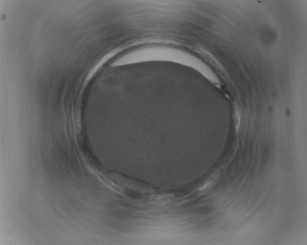 X0000075840484200610061851