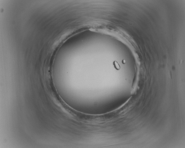 X0000075840485200610061851