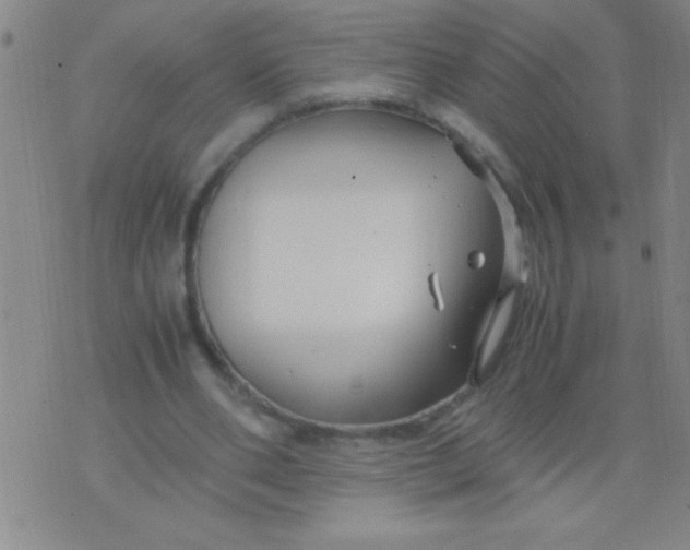 X0000075840486200610061851