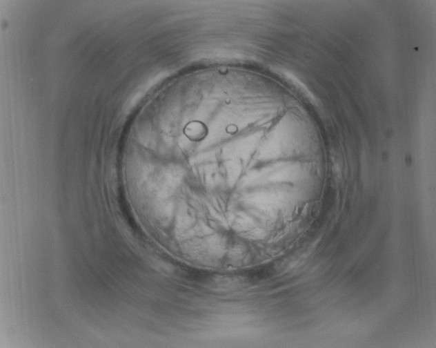 X0000075840487200610061851