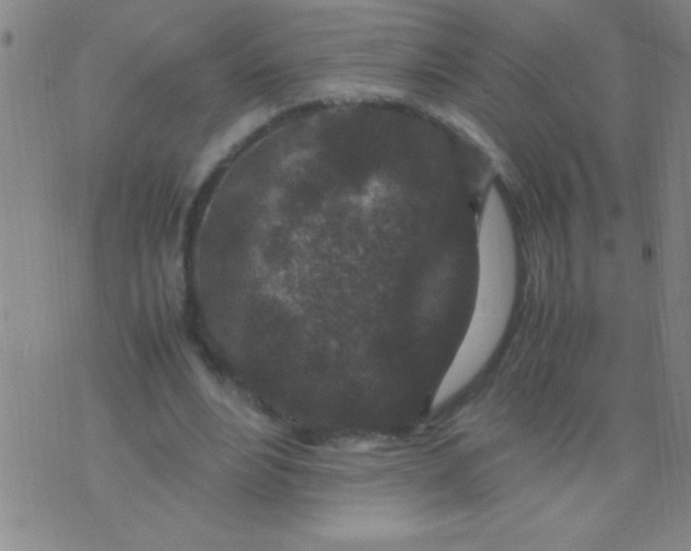 X0000075840488200610061851