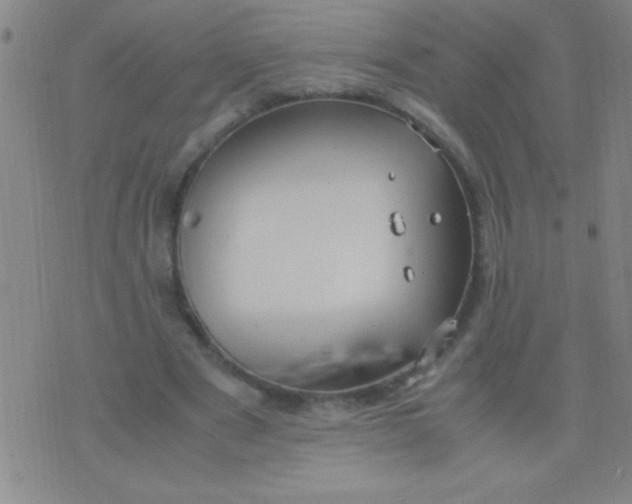 X0000075840489200610061851