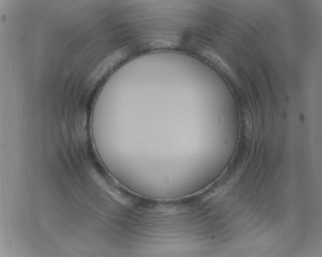 X0000075840490200610061851