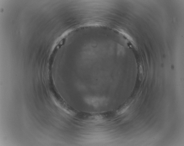 X0000075840492200610061851