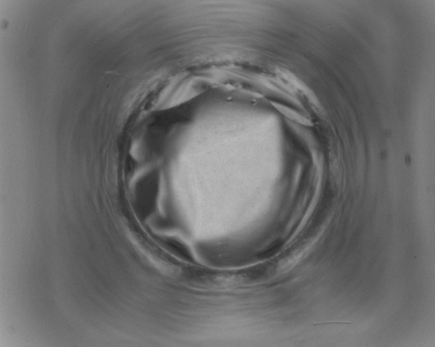 X0000075840493200610061851