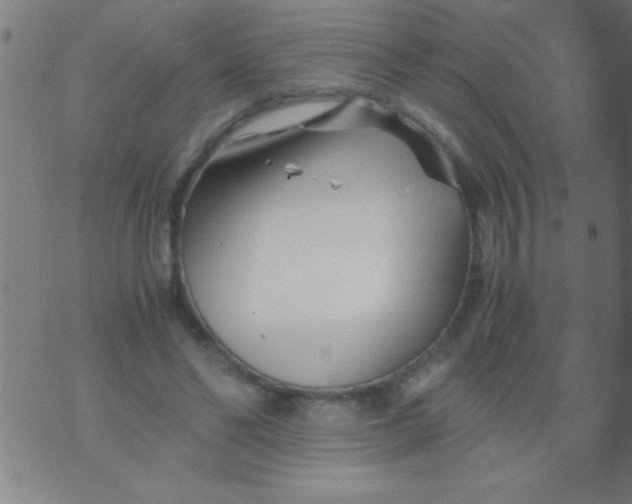 X0000075840494200610061851