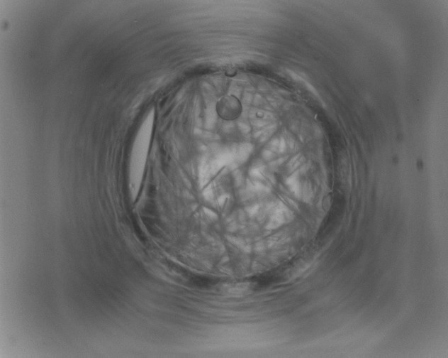 X0000075840495200610061851