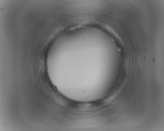 X0000075840497200610061851