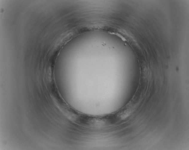 X0000075840498200610061850