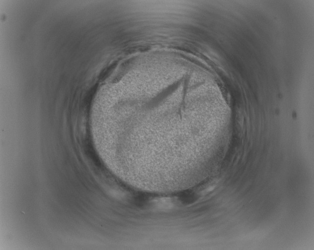 X0000075840499200610061850