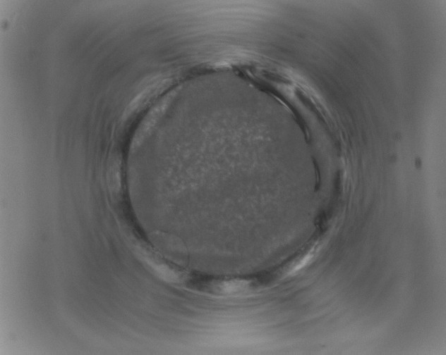 X0000075840501200610061850