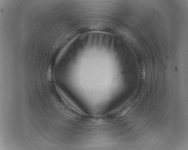 X0000075840502200610061850