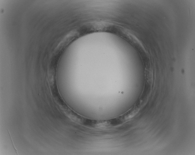 X0000075840505200610061850