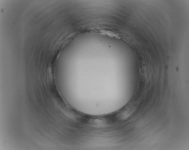 X0000075840506200610061850