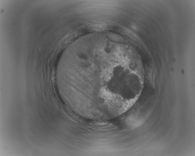 X0000075840507200610061850