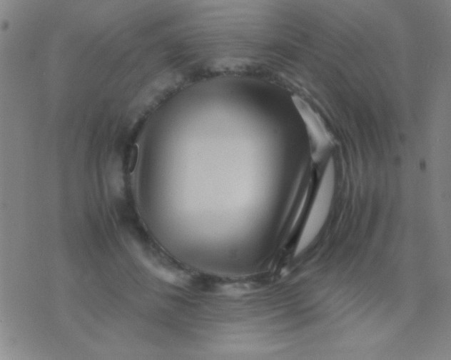 X0000075840508200610061850